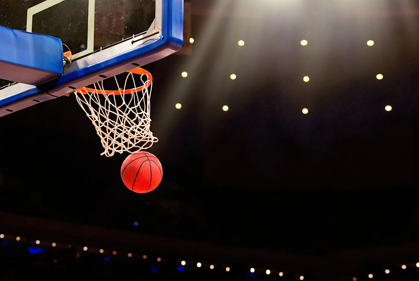 Basket Ball Net