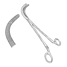 Ronald Edwards Artery Forcep