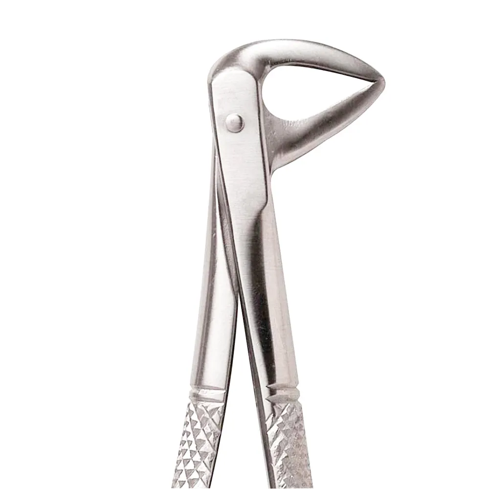 Extracting Forceps