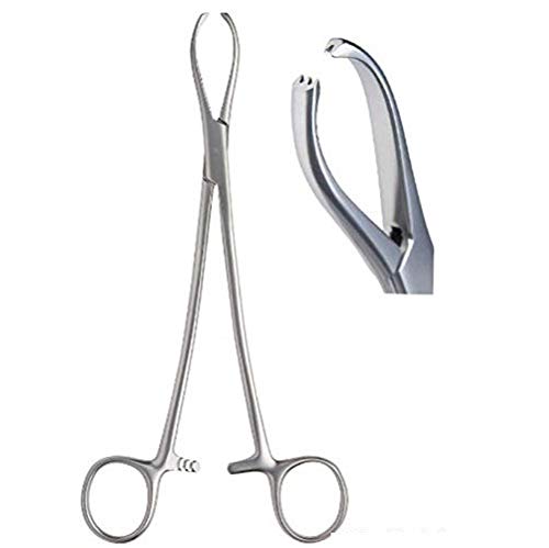 Littlewood Tissue Forcep